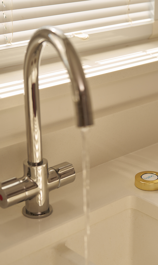 Cat drinking filtered water