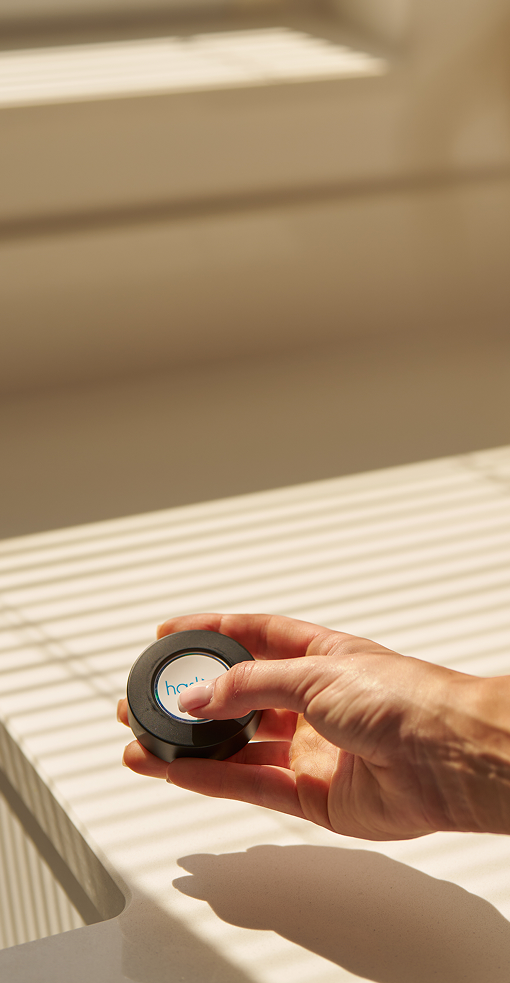 Cat drinking filtered water